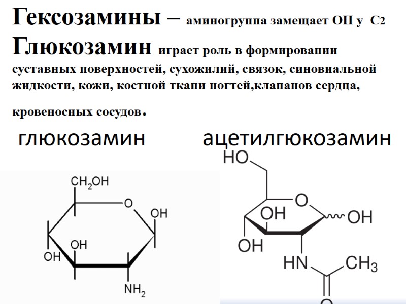 Гексозамины – аминогруппа замещает ОН у  С2  Глюкозамин играет роль в формировании